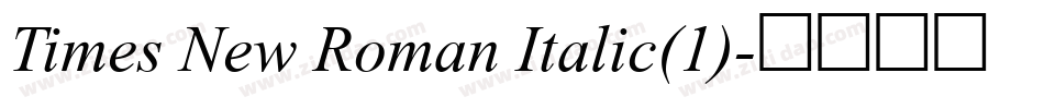 Times New Roman Italic(1)字体转换